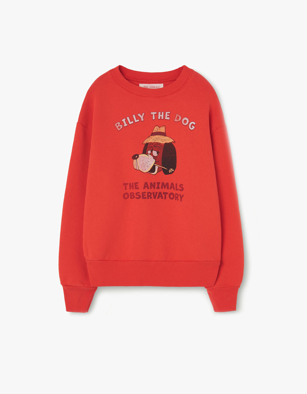 Bear Sweatshirt | Red
