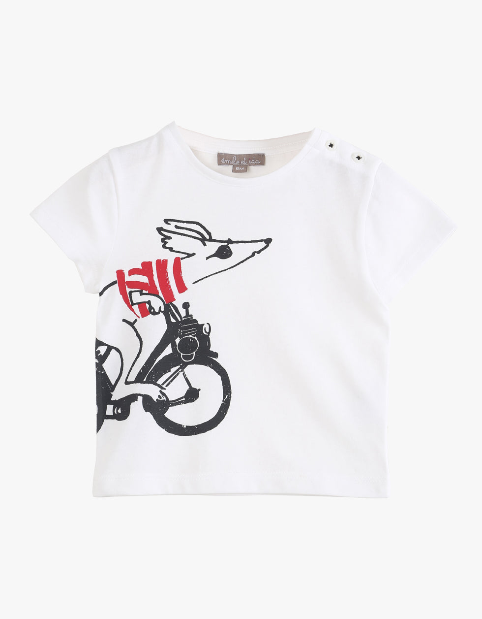 T-shirt | Rapido
